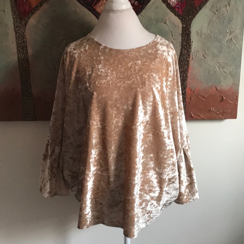 Gold Velvet Bell Sleeve Top